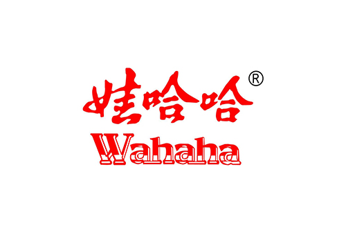 洛陽娃哈哈（hā）食品加工（gōng）燃氣蒸汽鍋爐（lú）案（àn）例