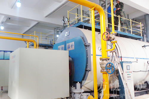 香蕉视频91燃油氣熱水鍋爐案例