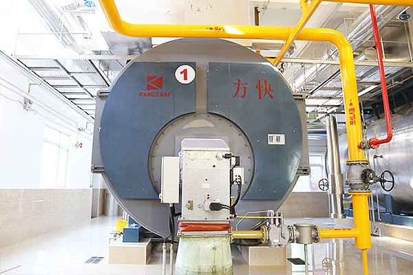 利民製藥（yào）有限（xiàn）公司4噸一體（tǐ）燃（rán）氣蒸汽鍋爐案例