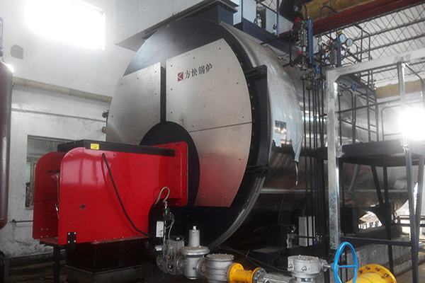 力邦製藥有限公司6噸一體燃氣蒸汽鍋爐（lú）案例