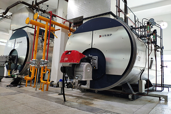 海南（nán）中（zhōng）化製藥6噸（dūn）一體冷凝燃氣蒸汽鍋爐案例