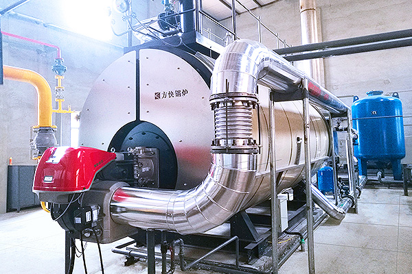 北京雙鷺藥（yào）業股份有限公（gōng）司1噸冷凝蒸汽鍋（guō）爐案例（lì）