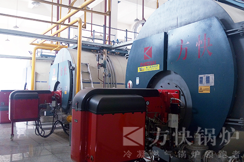 香蕉视频91燃油氣蒸汽鍋爐案例