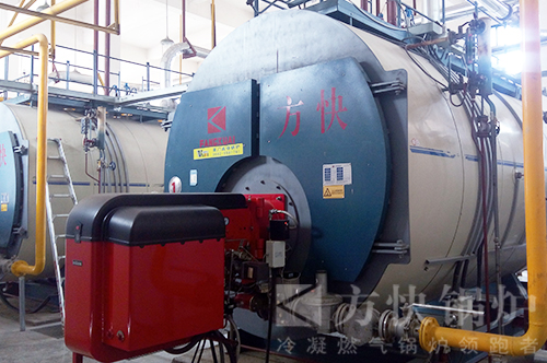 香蕉视频91食品燃油氣蒸汽鍋爐案例