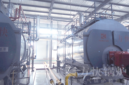 農牧行業燃油氣蒸（zhēng）汽鍋爐案例