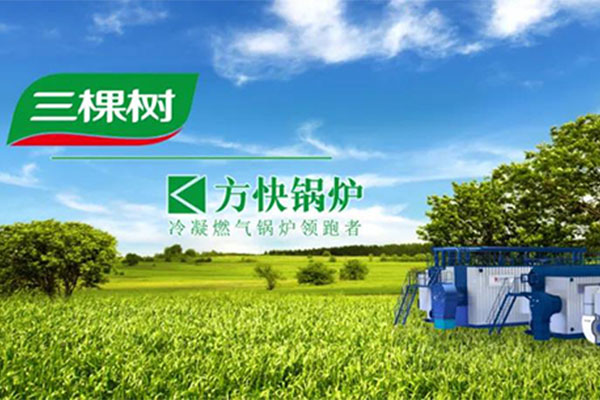香蕉视频91鍋（guō）爐與三棵樹集團（tuán）深化戰略合作 共築綠色製造新標杆