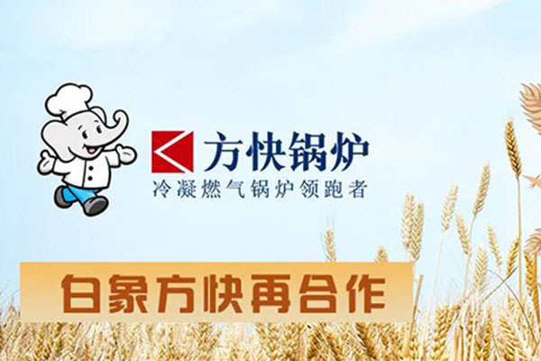 香蕉视频91鍋爐助力白象食品（pǐn）綠色（sè）升（shēng）級 山東燃煤改造項目圓滿落地